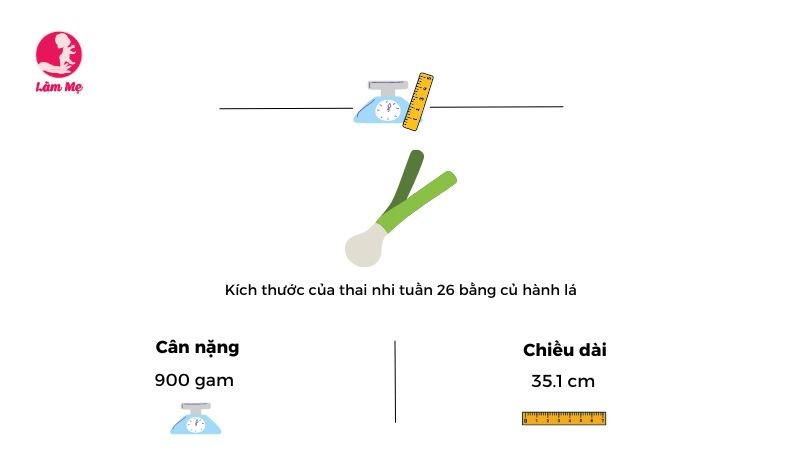 Mang thai tuần 26: Mẹ và bé thay đổi như thế nào?