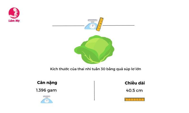 Sự thay đổi của mẹ bầu và thai nhi khi mang thai tuần 30 