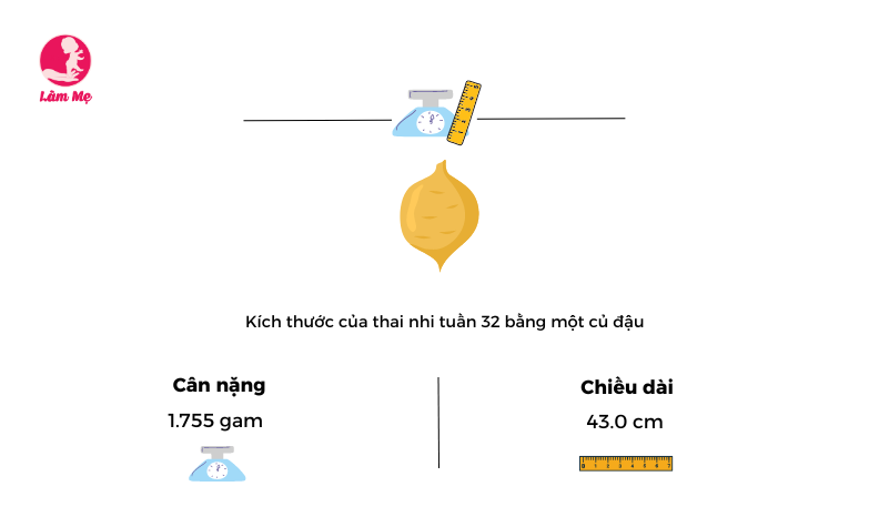 Mang thai tuần 32 mẹ và bé có gì khác biệt?