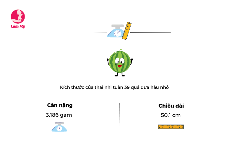 Mang thai tuần 39: Sự phát triển của thai nhi và thay đổi của mẹ bầu thế nào?