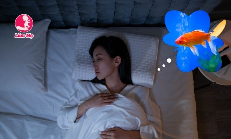 Giải mã giấc mơ thấy cá: biểu tượng của tiềm thức, vận mệnh và những chuyển biến trong cuộc sống