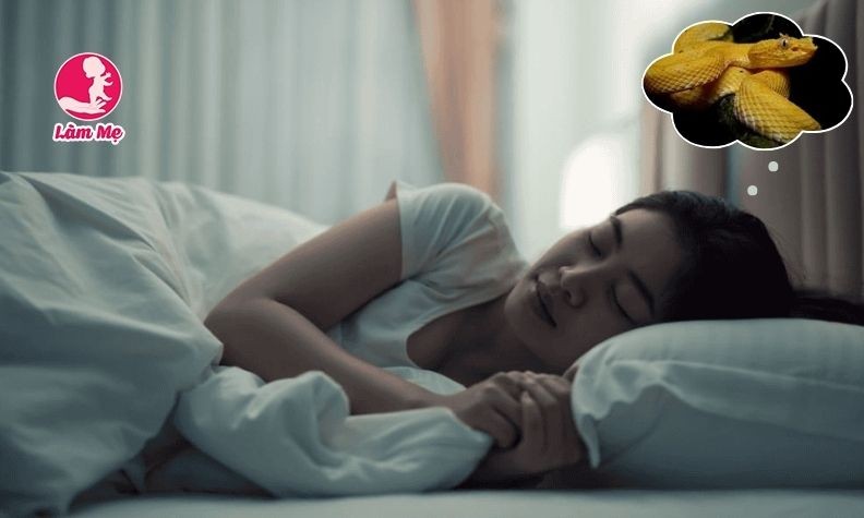 Nằm mơ thấy rắn vàng là điềm gì? Giải mã giấc mơ rắn vàng