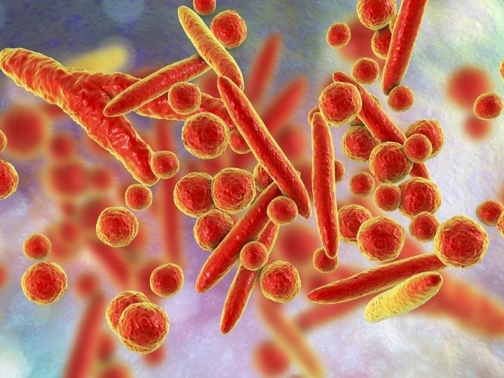 Vi khuẩn Mycoplasma là gì? Loại vi khuẩn này có gì nguy hiểm cho trẻ?